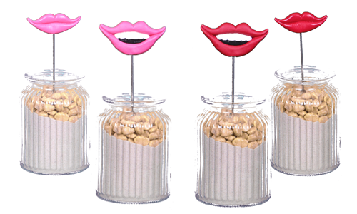 fotobox-probs-lachender-mund-lippen